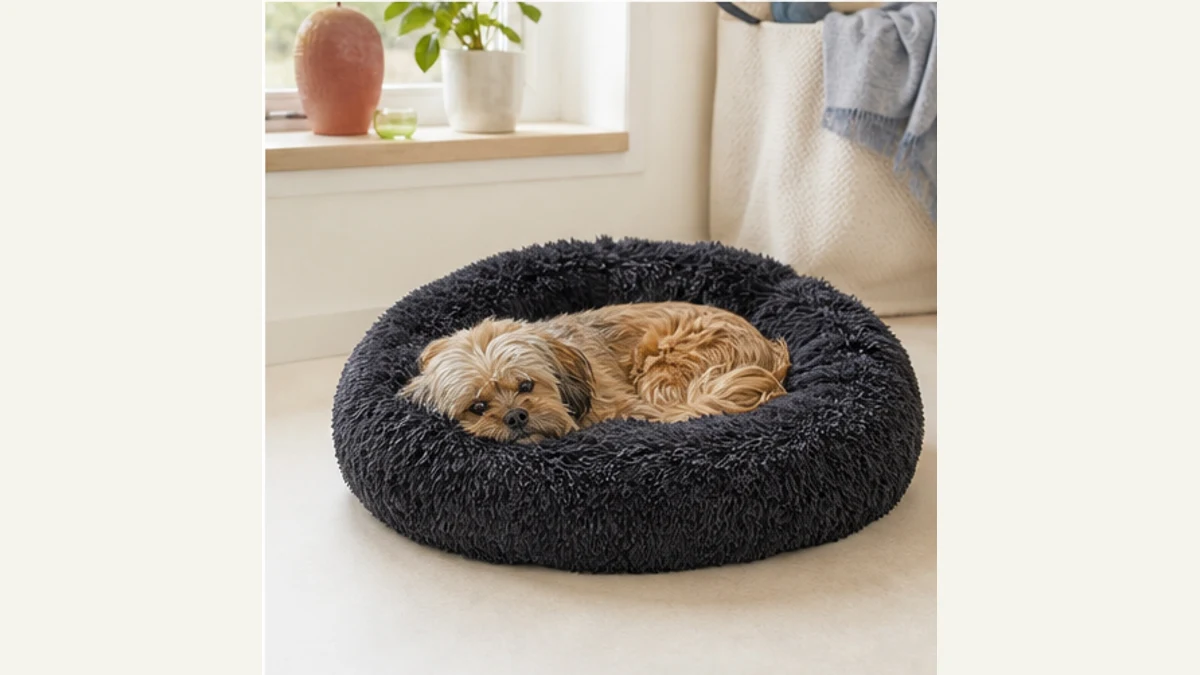 Liten hund hoprullad i en mörk fluffig rund bädd